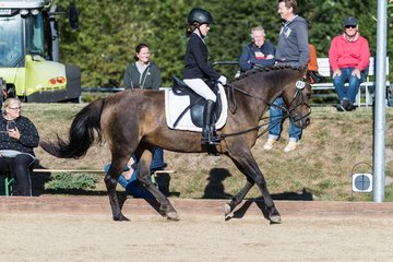 Bild 73 - Pony Akademie Turnier